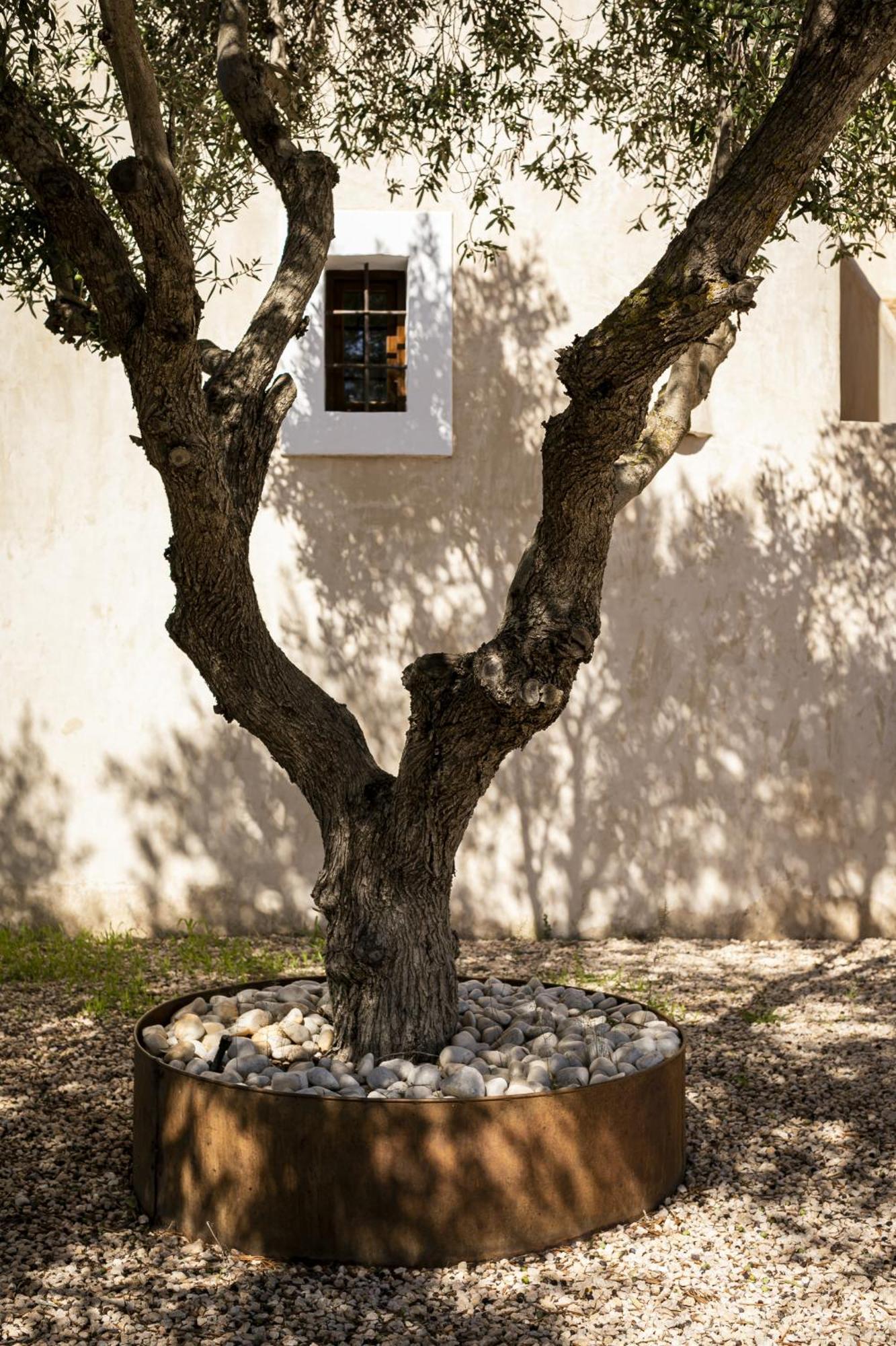 Can Noves - Villa De 4 Suites 35 Y 52 San Francisco Javier Esterno foto